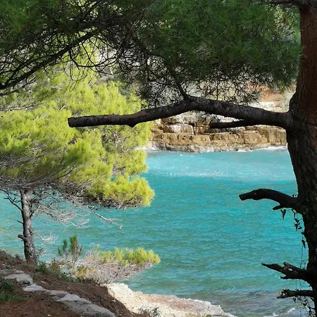 Апартаменты Andrea Пула