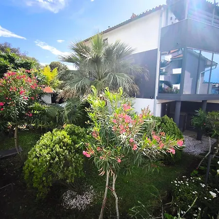 Apartman Andrea Pula