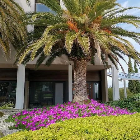 Andrea Апартаменти *