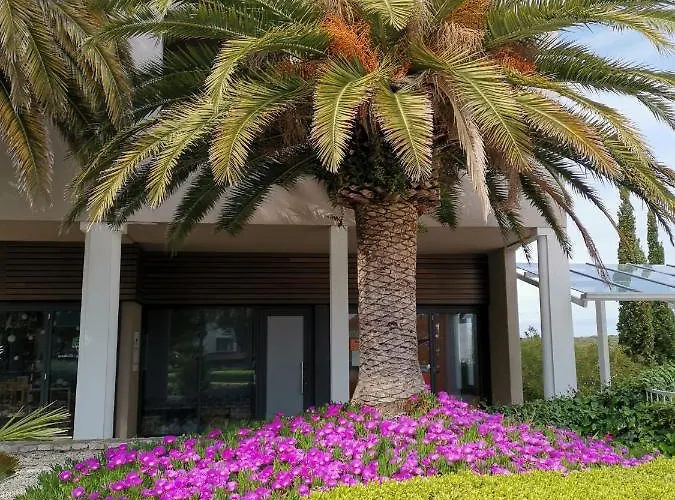 Andrea Apartament *