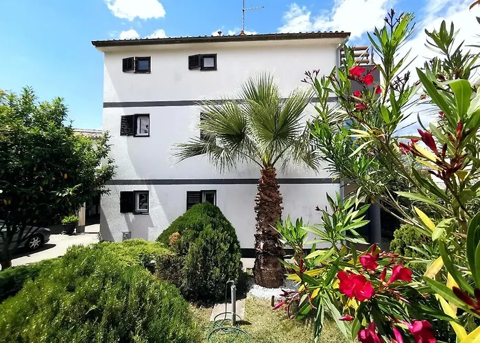 Apartment Andrea Pula