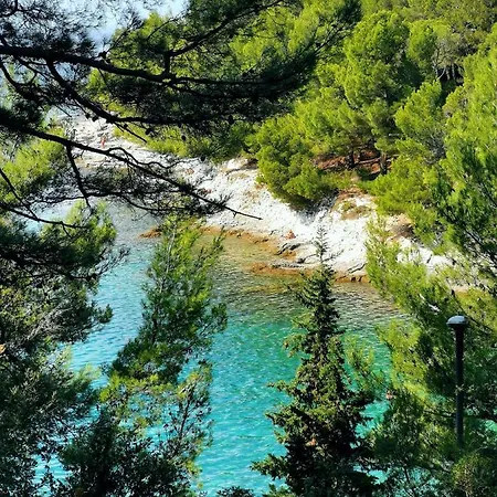 Andrea Διαμέρισμα